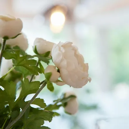 Niro I Design Apartment, Modern, Ebenerdig Apartament